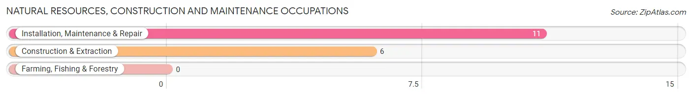 Natural Resources, Construction and Maintenance Occupations in Zip Code 83526