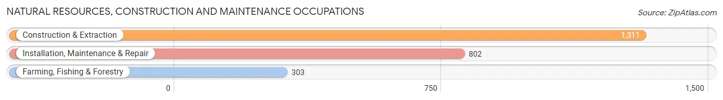 Natural Resources, Construction and Maintenance Occupations in Zip Code 83607