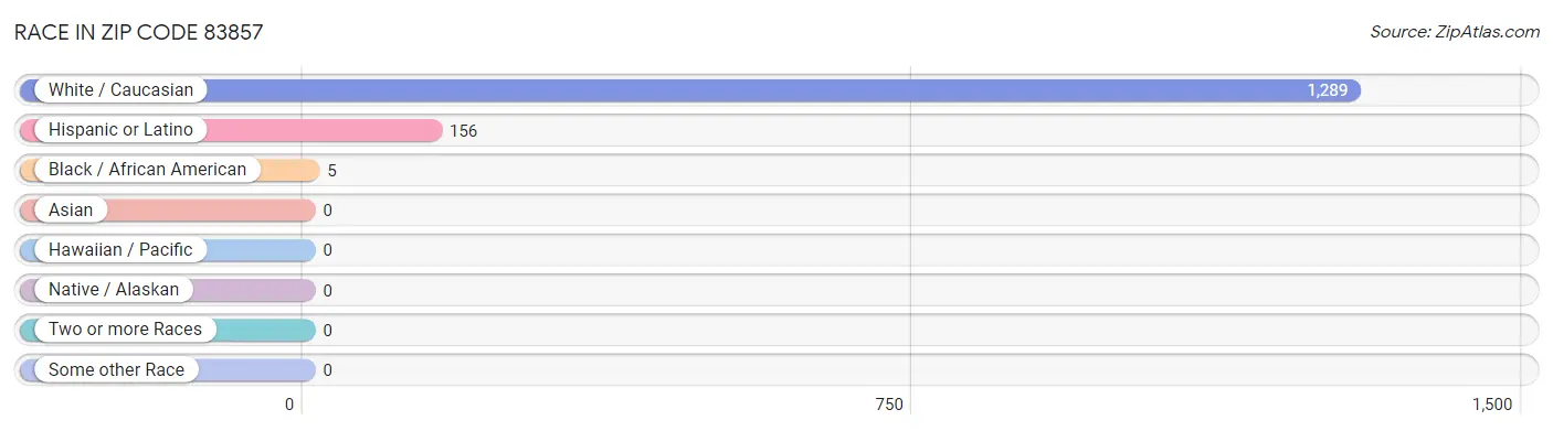 Race in Zip Code 83857