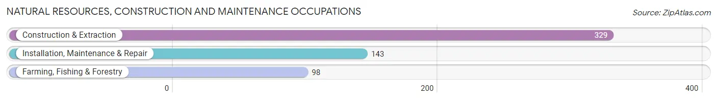 Natural Resources, Construction and Maintenance Occupations in Zip Code 83861