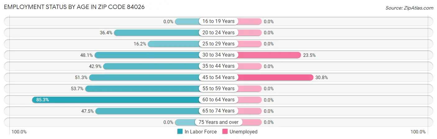 Employment Status by Age in Zip Code 84026