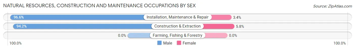 Natural Resources, Construction and Maintenance Occupations by Sex in Zip Code 84054