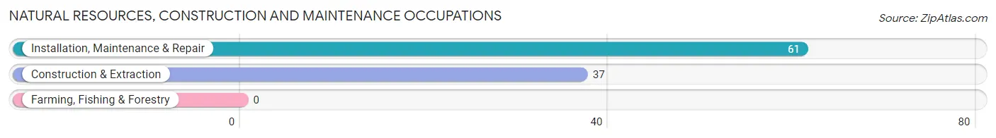 Natural Resources, Construction and Maintenance Occupations in Zip Code 84071