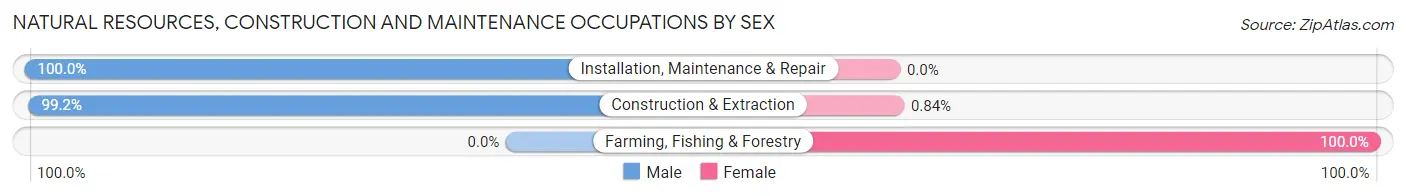 Natural Resources, Construction and Maintenance Occupations by Sex in Zip Code 84081