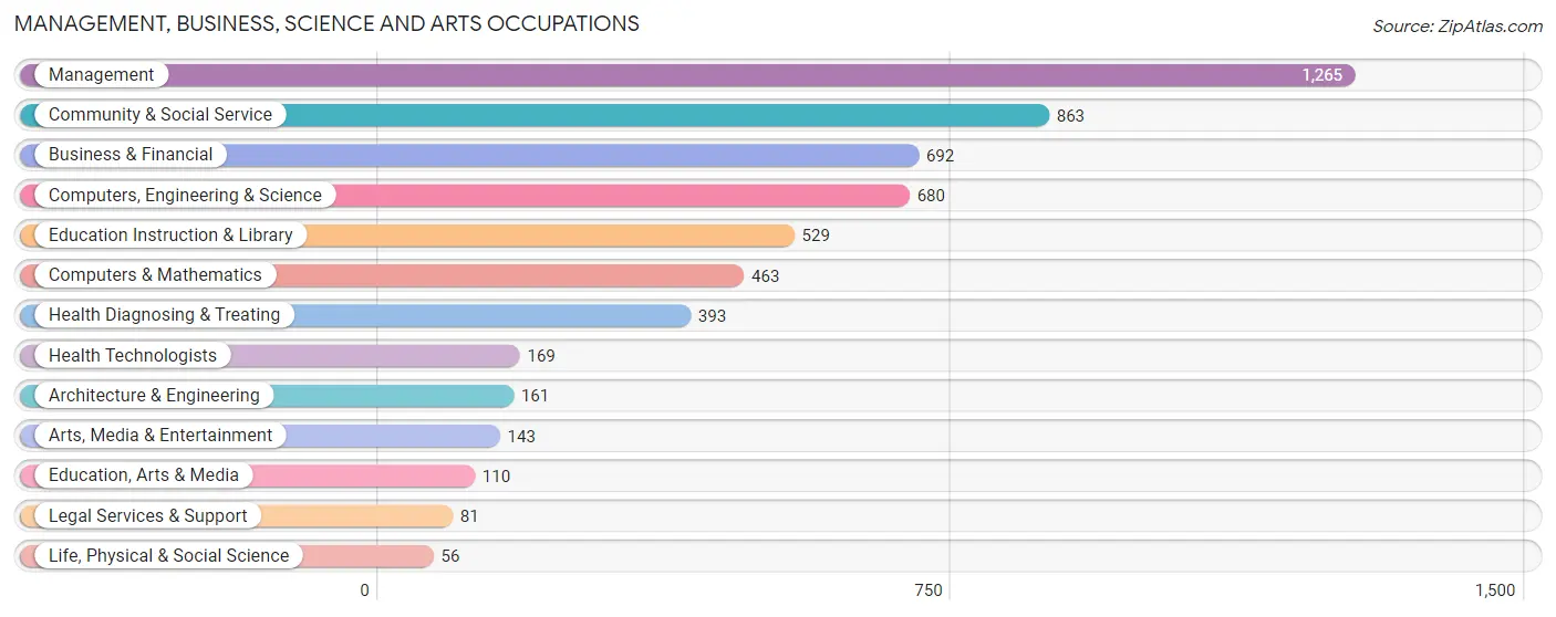 Management, Business, Science and Arts Occupations in Zip Code 84128