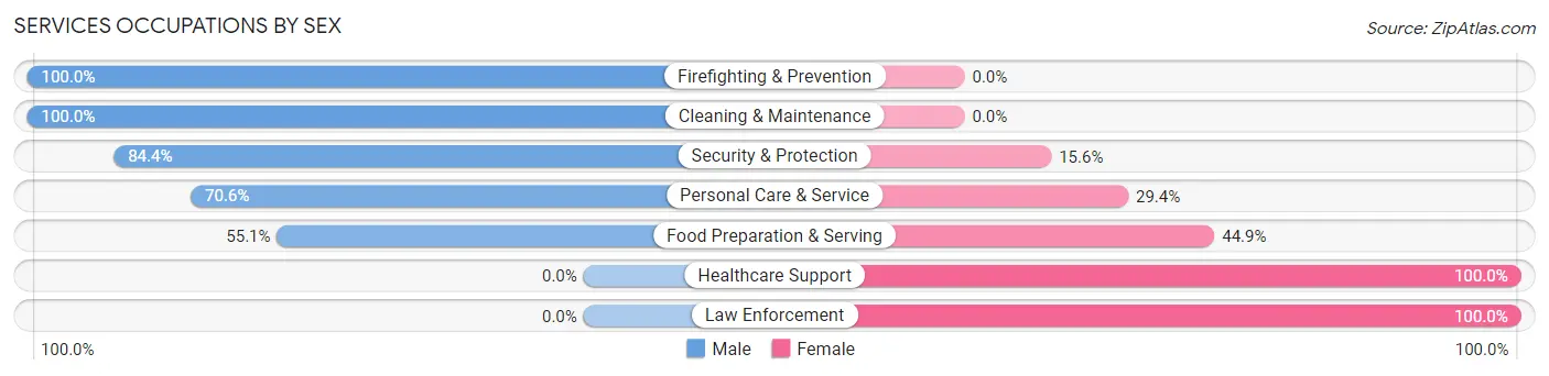Services Occupations by Sex in Zip Code 84310