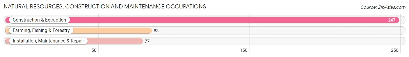 Natural Resources, Construction and Maintenance Occupations in Zip Code 84647