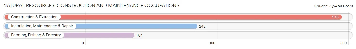 Natural Resources, Construction and Maintenance Occupations in Zip Code 84655