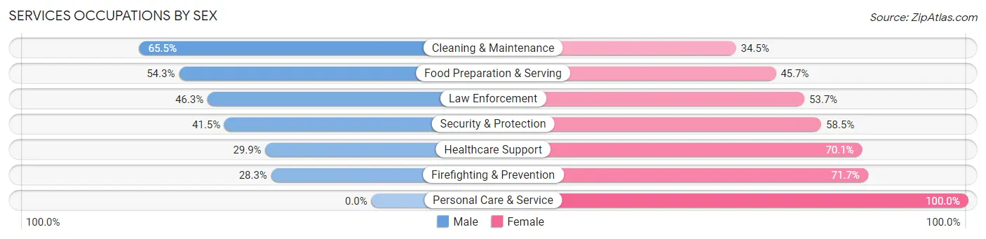 Services Occupations by Sex in Zip Code 85031