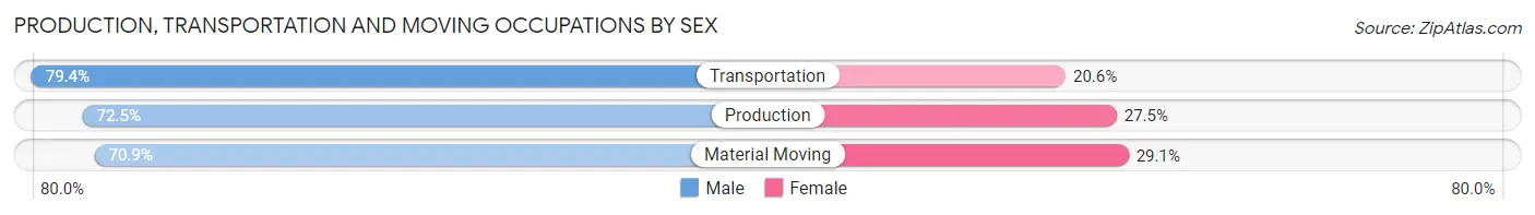 Production, Transportation and Moving Occupations by Sex in Zip Code 85044
