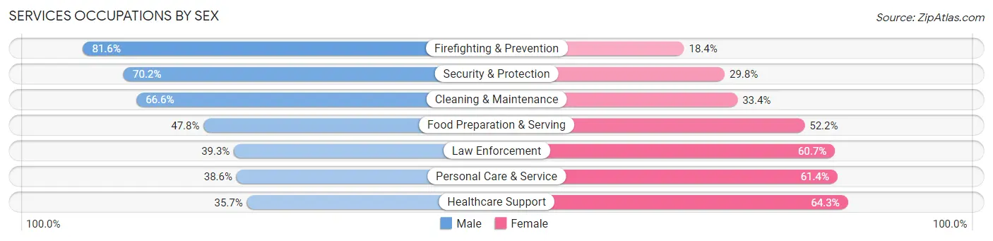 Services Occupations by Sex in Zip Code 85051