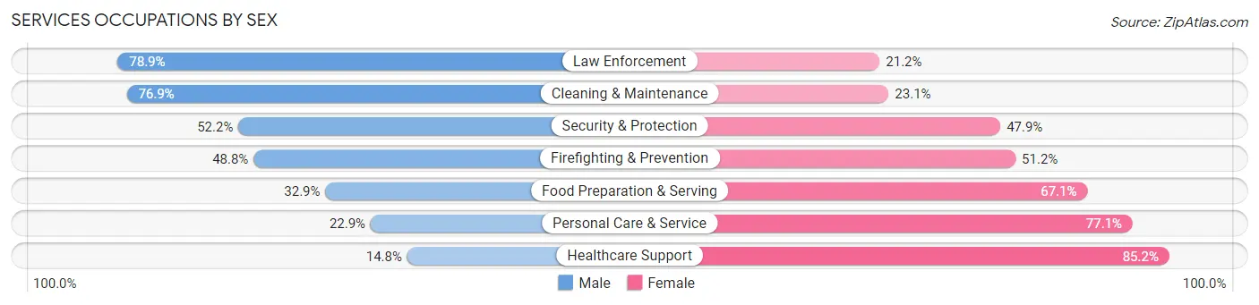 Services Occupations by Sex in Zip Code 85053