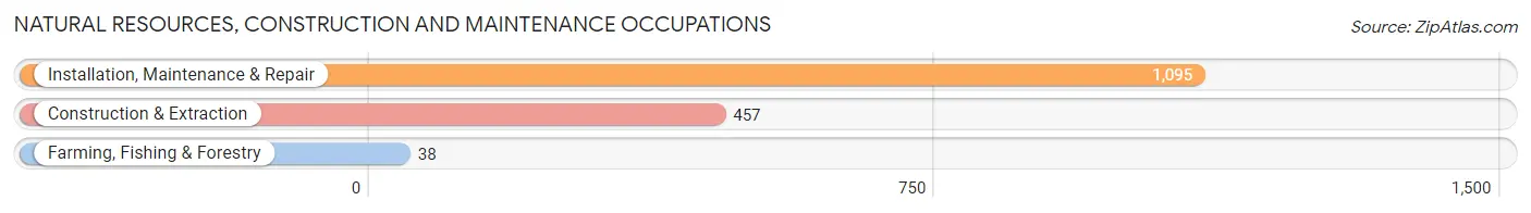 Natural Resources, Construction and Maintenance Occupations in Zip Code 85086