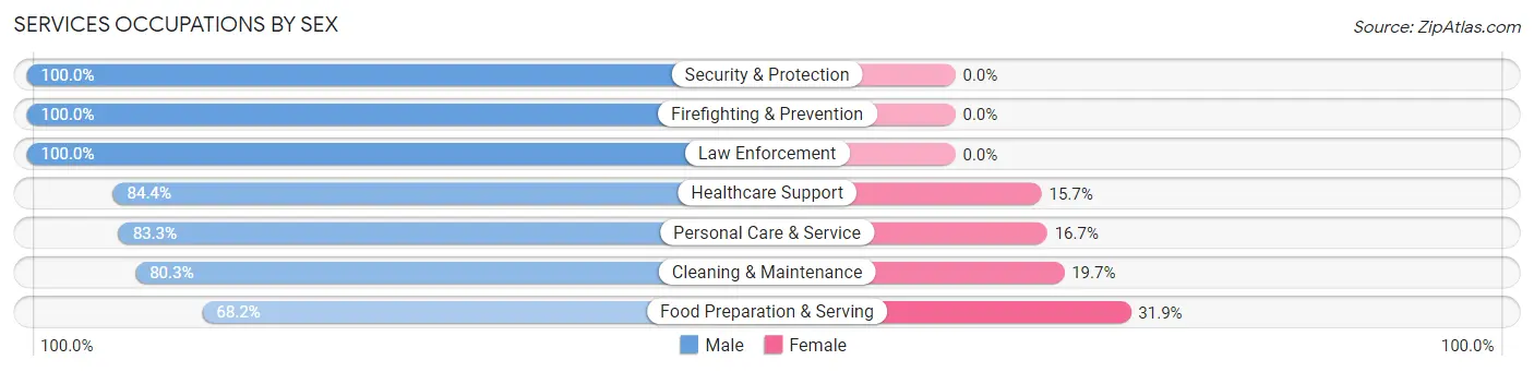 Services Occupations by Sex in Zip Code 85087