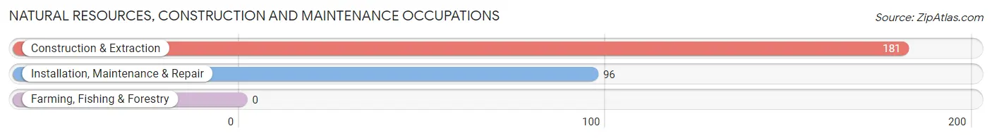 Natural Resources, Construction and Maintenance Occupations in Zip Code 85118