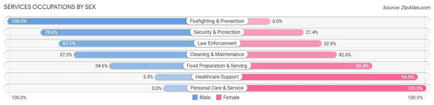 Services Occupations by Sex in Zip Code 85119