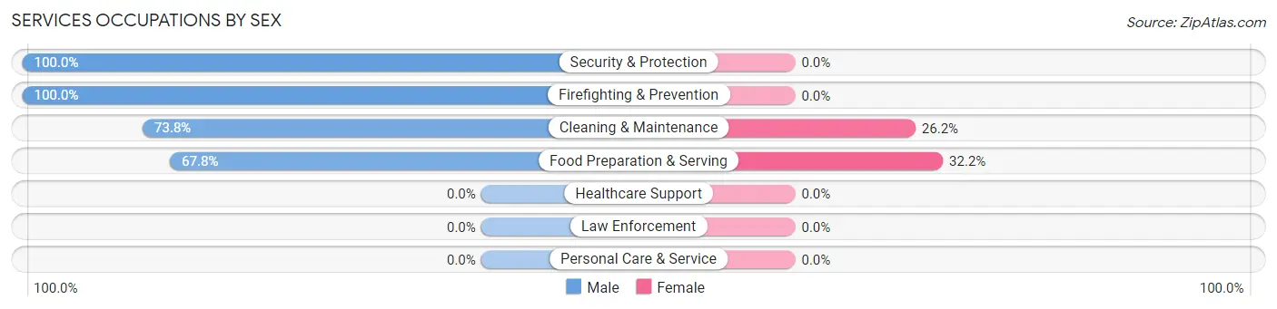 Services Occupations by Sex in Zip Code 85121