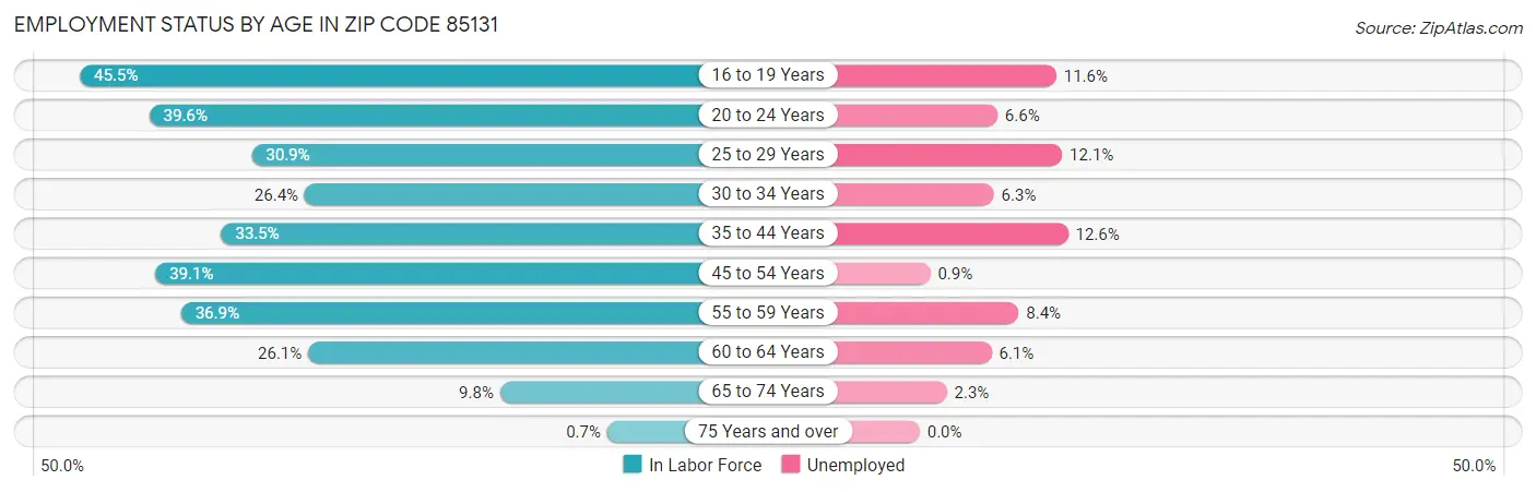Employment Status by Age in Zip Code 85131
