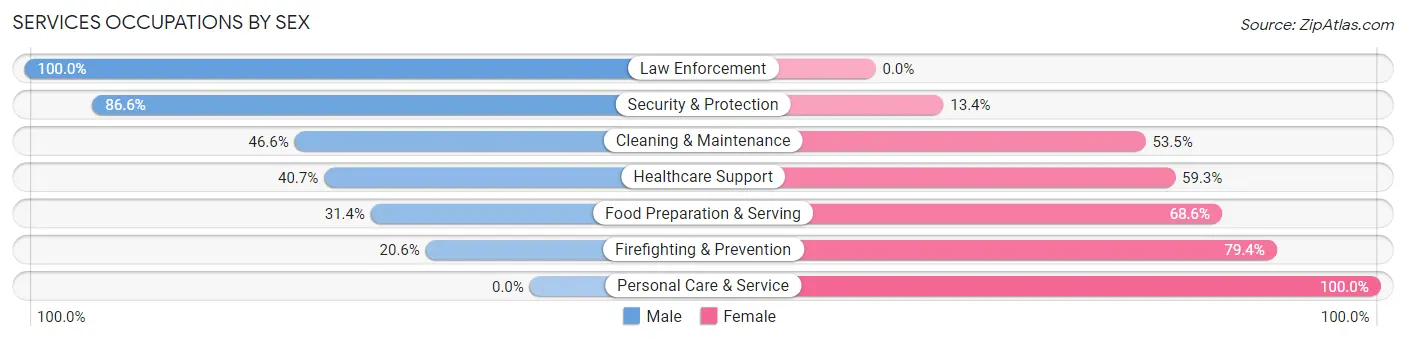 Services Occupations by Sex in Zip Code 85131