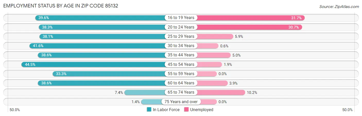 Employment Status by Age in Zip Code 85132