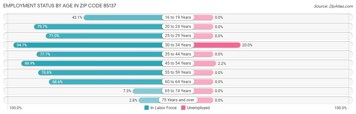 Employment Status by Age in Zip Code 85137