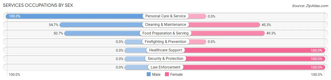 Services Occupations by Sex in Zip Code 85137