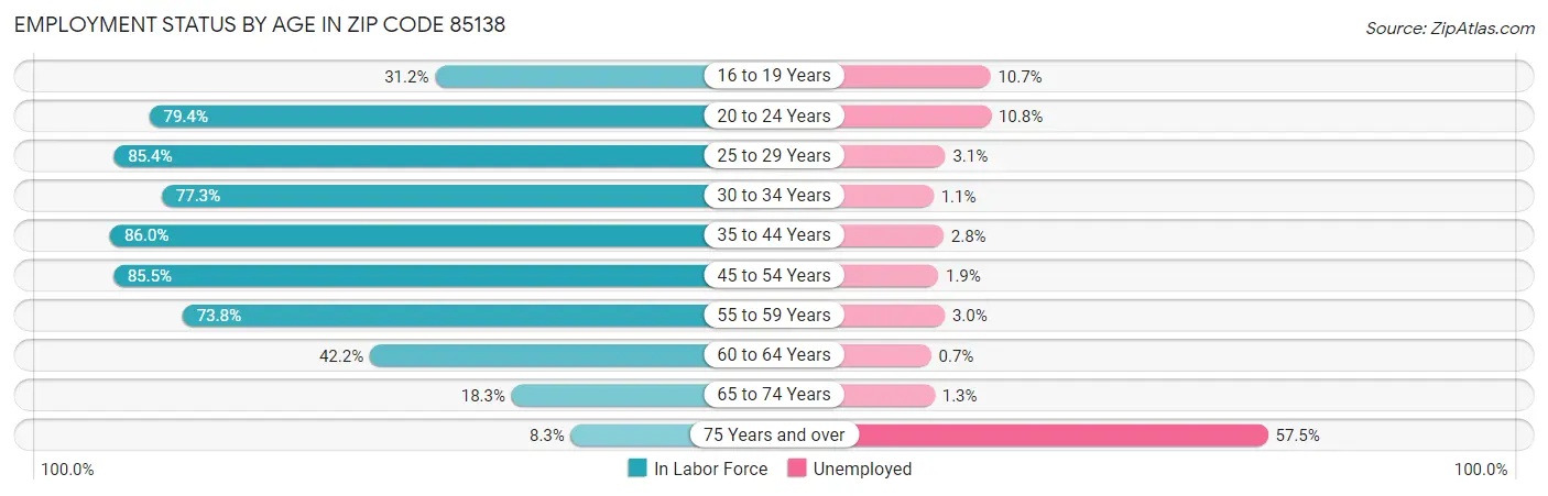 Employment Status by Age in Zip Code 85138