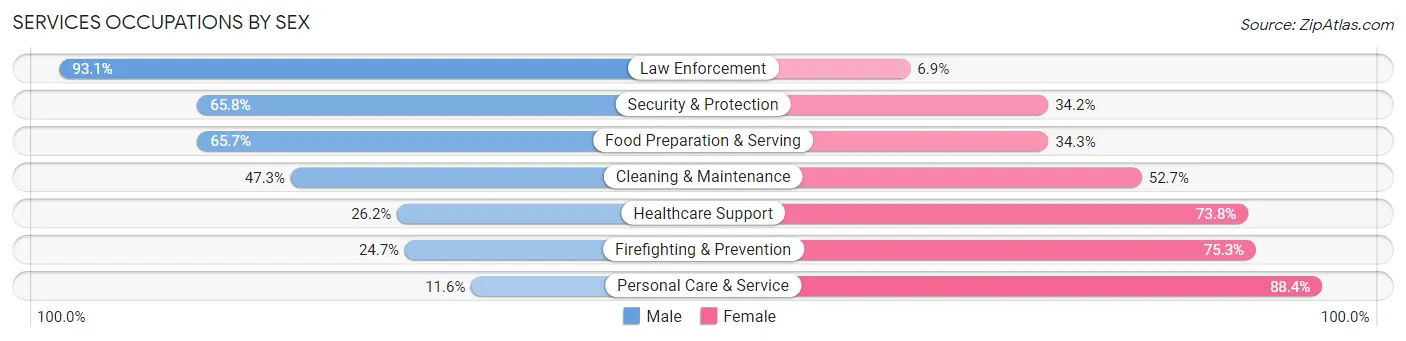 Services Occupations by Sex in Zip Code 85139