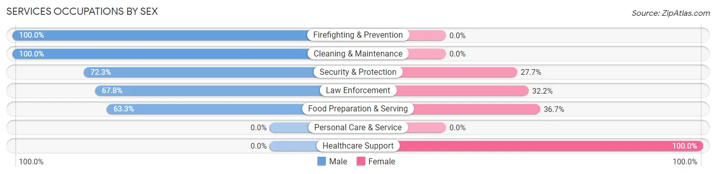 Services Occupations by Sex in Zip Code 85145
