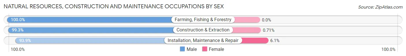 Natural Resources, Construction and Maintenance Occupations by Sex in Zip Code 85204