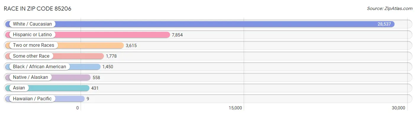 Race in Zip Code 85206