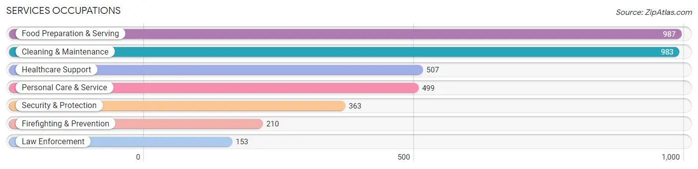 Services Occupations in Zip Code 85207