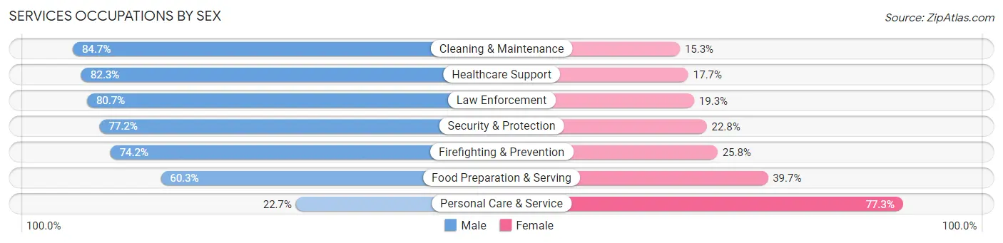 Services Occupations by Sex in Zip Code 85259