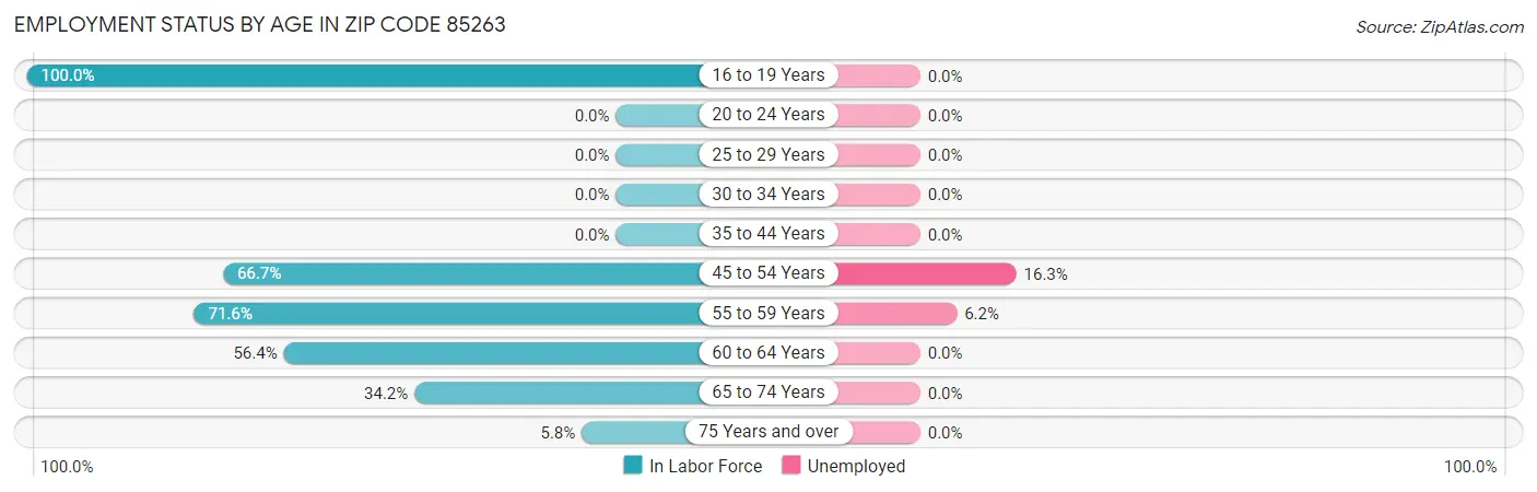Employment Status by Age in Zip Code 85263
