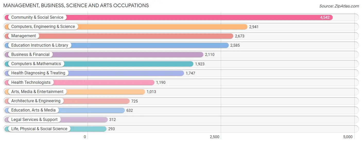 Management, Business, Science and Arts Occupations in Zip Code 85282