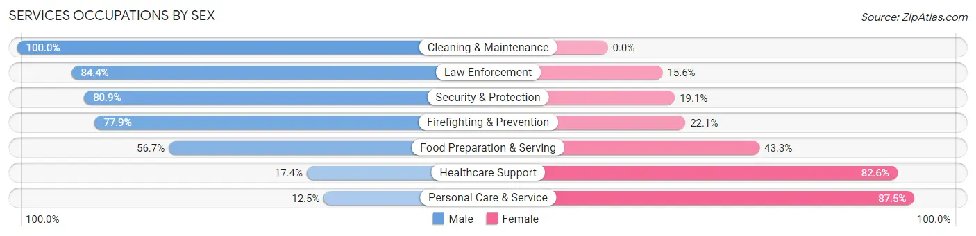 Services Occupations by Sex in Zip Code 85298