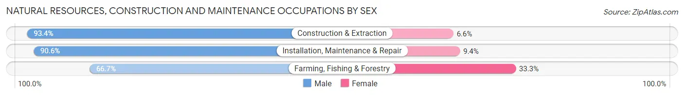 Natural Resources, Construction and Maintenance Occupations by Sex in Zip Code 85301