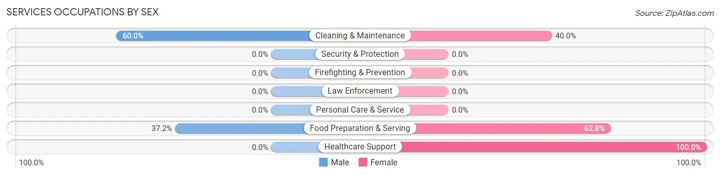 Services Occupations by Sex in Zip Code 85337