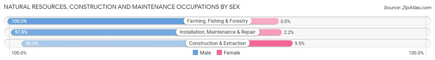 Natural Resources, Construction and Maintenance Occupations by Sex in Zip Code 85340