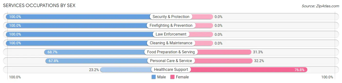 Services Occupations by Sex in Zip Code 85355