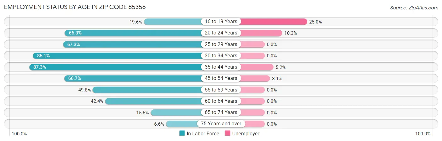 Employment Status by Age in Zip Code 85356