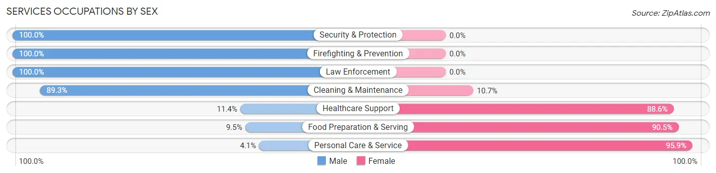Services Occupations by Sex in Zip Code 85356