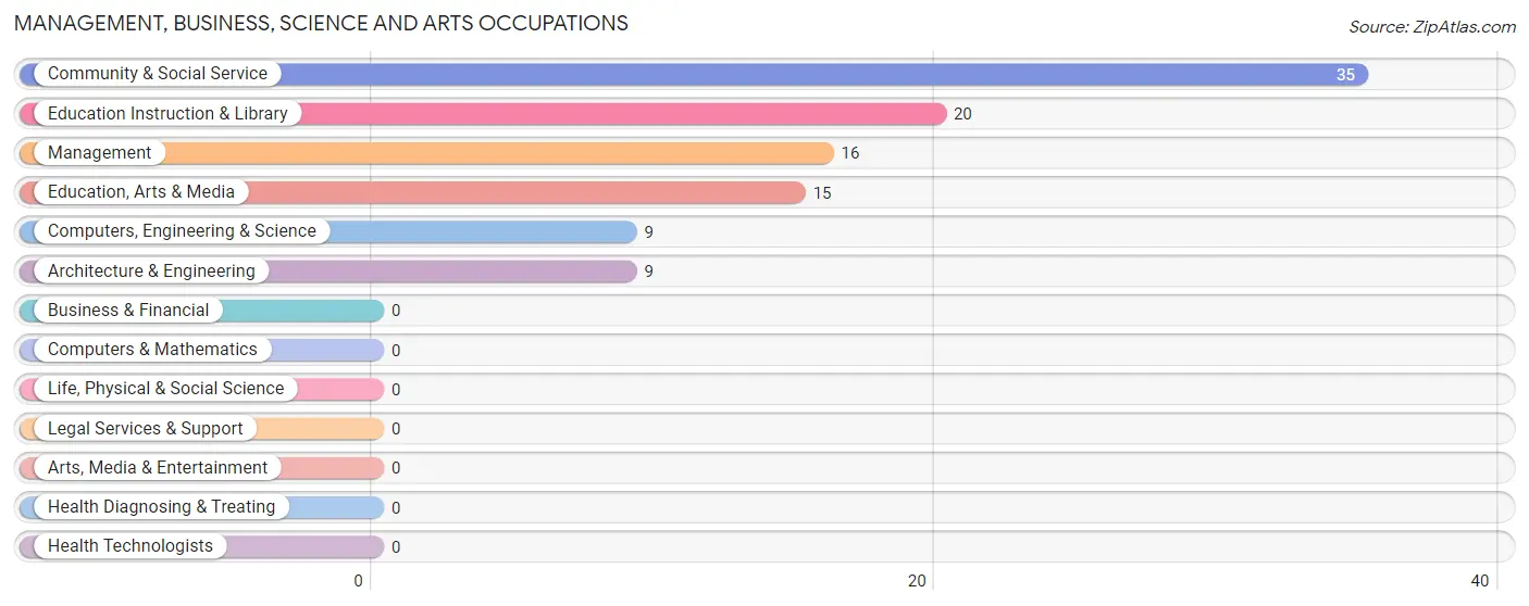 Management, Business, Science and Arts Occupations in Zip Code 85362