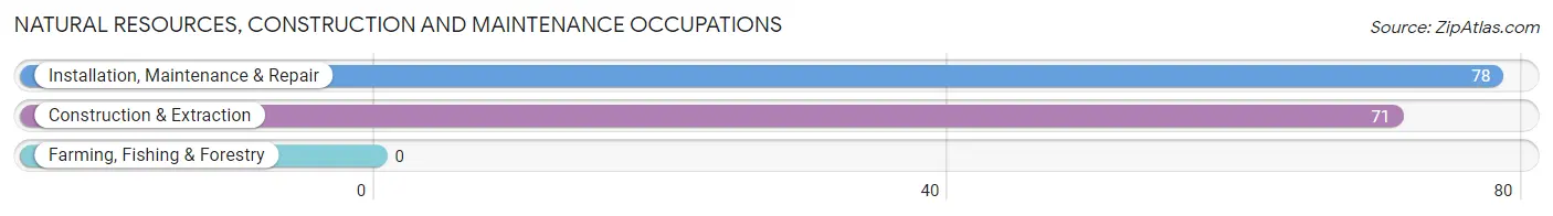 Natural Resources, Construction and Maintenance Occupations in Zip Code 85375