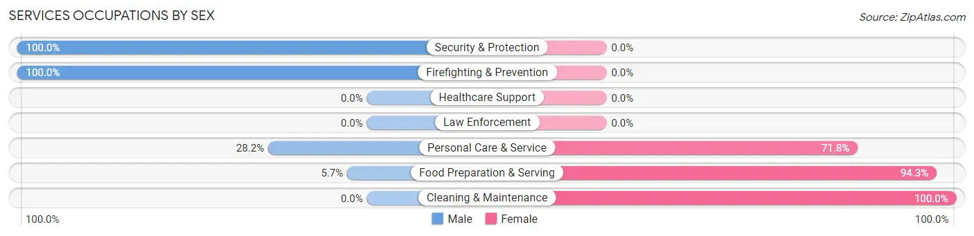 Services Occupations by Sex in Zip Code 85377