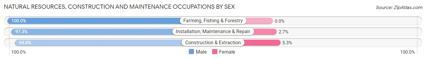 Natural Resources, Construction and Maintenance Occupations by Sex in Zip Code 85382