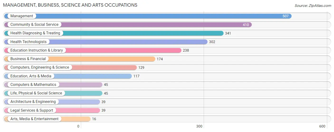 Management, Business, Science and Arts Occupations in Zip Code 85390