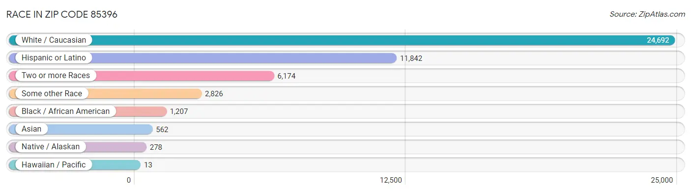 Race in Zip Code 85396