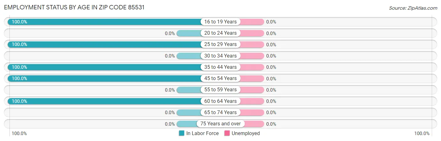 Employment Status by Age in Zip Code 85531