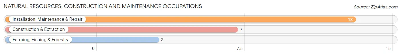 Natural Resources, Construction and Maintenance Occupations in Zip Code 85611